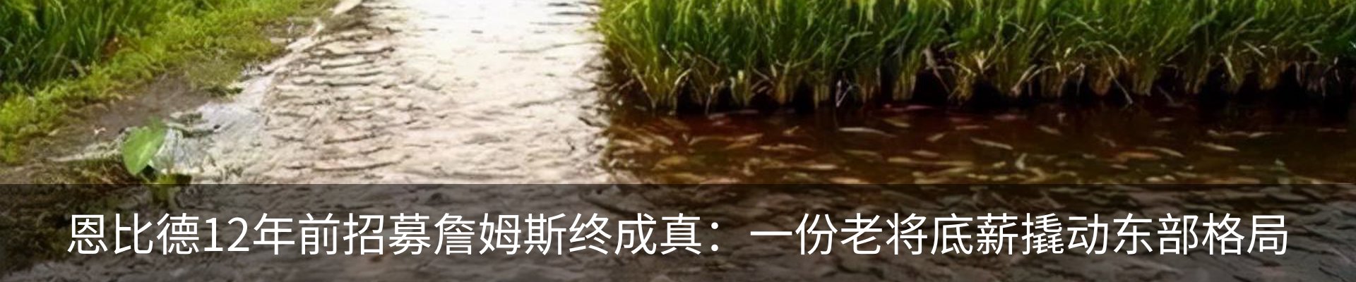 新闻中心